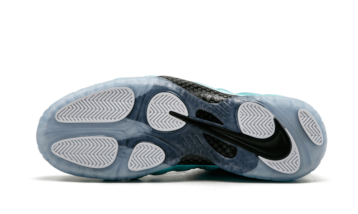 Air Nike Foamposite Pro Island Green