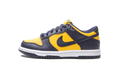 Nike Dunk Low Michigan (2021/2024) (GS)