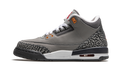Jordan 3 Retro Cool Grey (2021) (GS)